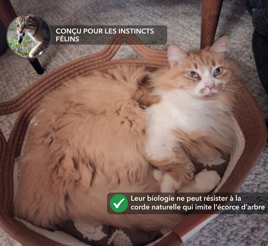 Panier griffoir tissé à la main pour chat