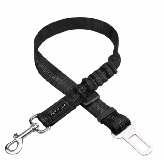 Ceinture de sécurité pour chien