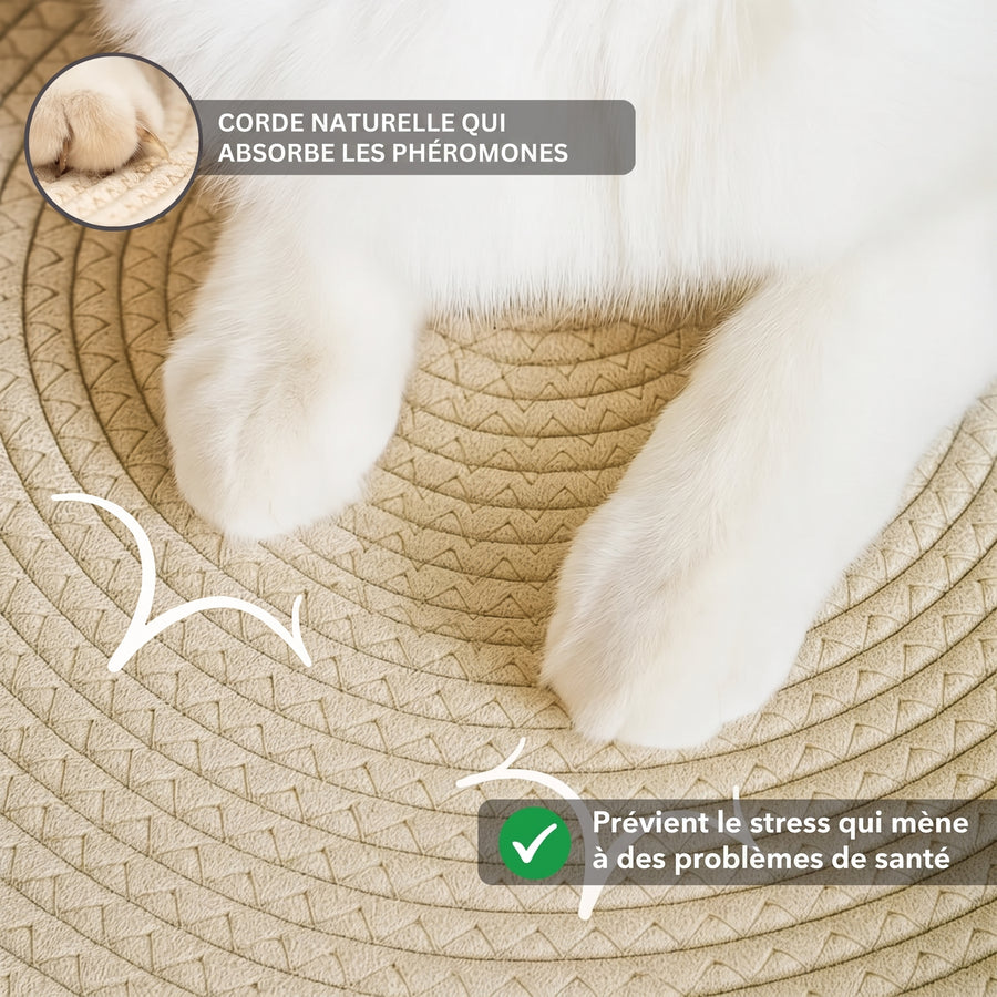 Panier griffoir tissé à la main pour chat